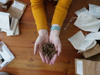 {{brizy_dc_image_alt entityId=